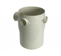 Corpo Caixa Gordura